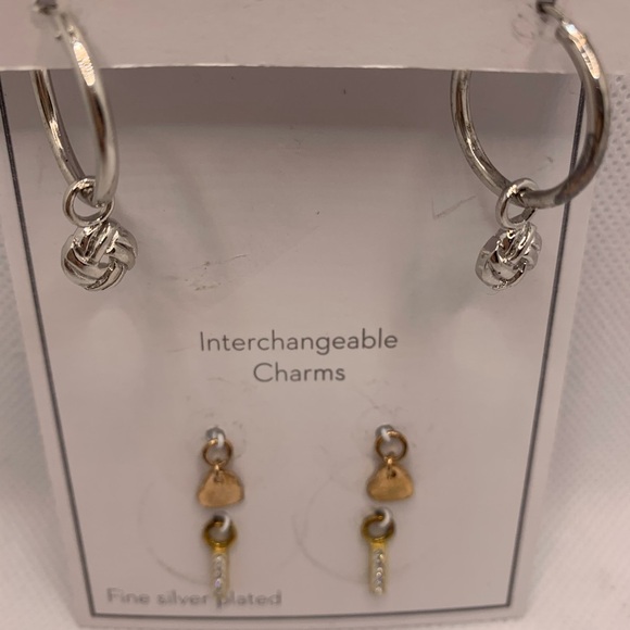 Gold and Silver Interchangeable Earrings Set with Charms - Picture 3 of 8